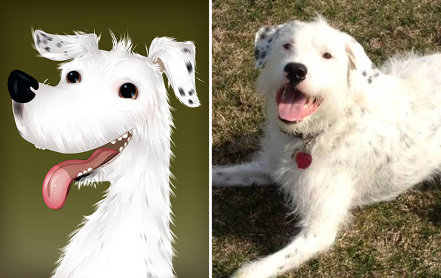 Az állatok személyiségét rajzolja meg egy művész - galéria