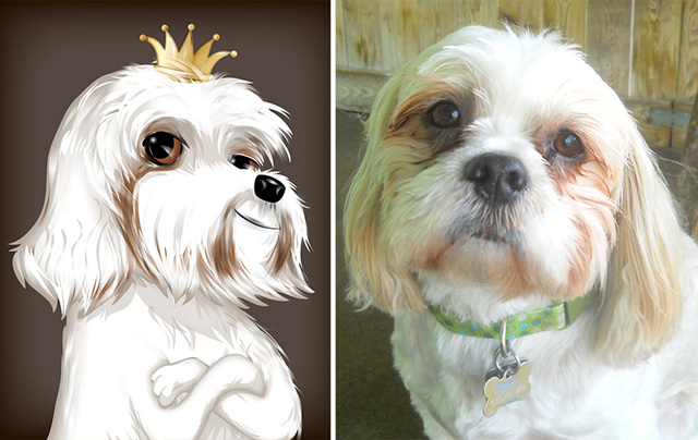 Az állatok személyiségét rajzolja meg egy művész - galéria