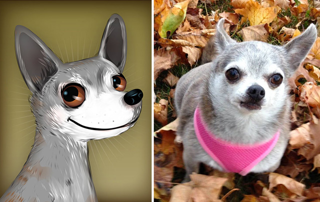 Az állatok személyiségét rajzolja meg egy művész - galéria