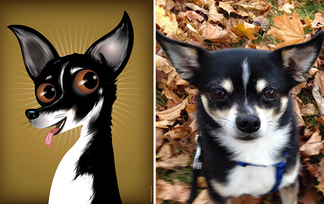 Az állatok személyiségét rajzolja meg egy művész - galéria