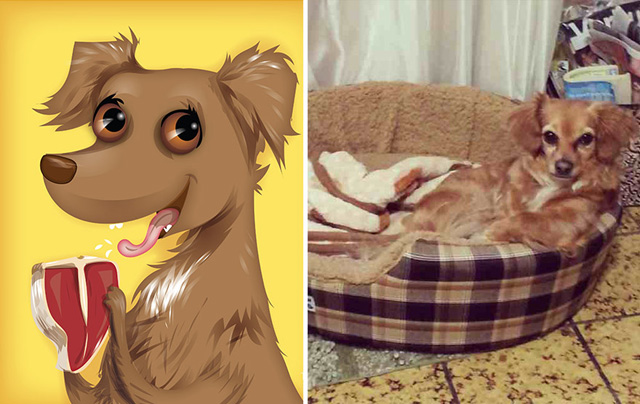 Az állatok személyiségét rajzolja meg egy művész - galéria