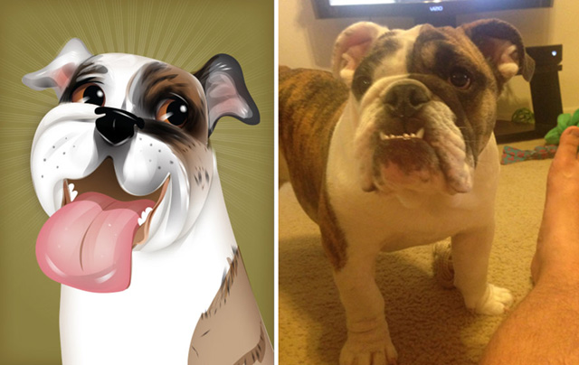 Az állatok személyiségét rajzolja meg egy művész - galéria