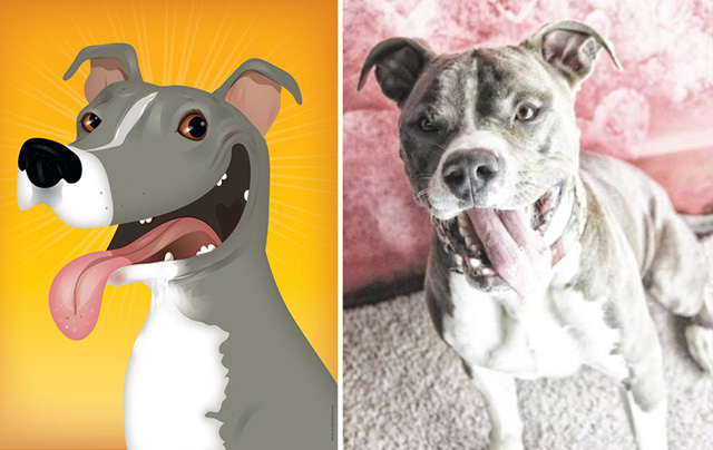 Az állatok személyiségét rajzolja meg egy művész - galéria