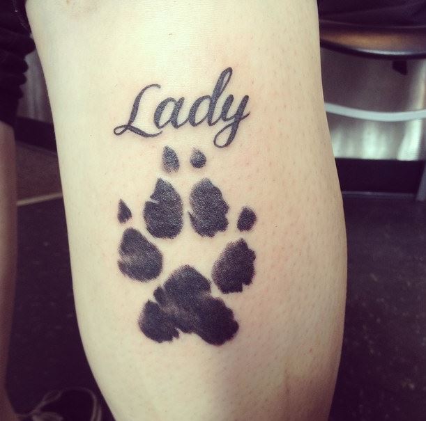 2014 legdivatosabb tetkói