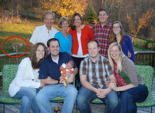 Íme a legviccesebb félresikerült kínos családi fotók!