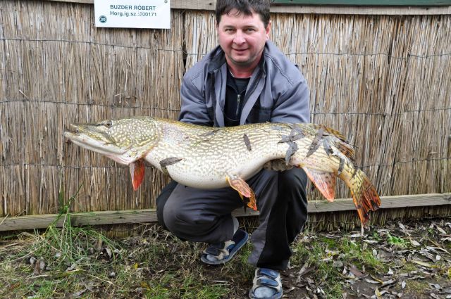 Forrás: csabato.extra.hu