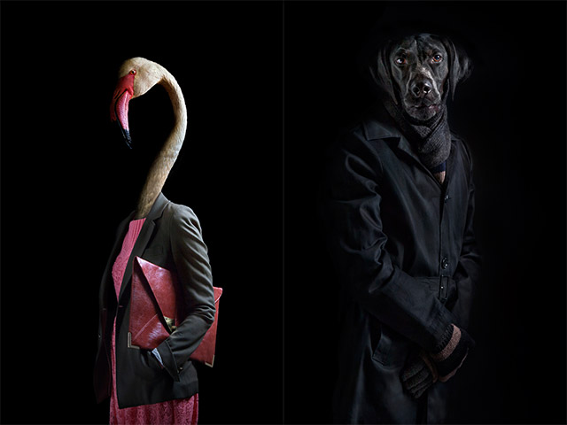 Ilyen lenne, ha az állatok iembernek öltöznének - galéria Ilyen lenne, ha az állatok iembernek öltöznének - galéria