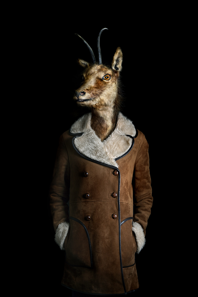 Ilyen lenne, ha az állatok iembernek öltöznének - galéria Ilyen lenne, ha az állatok iembernek öltöznének - galéria