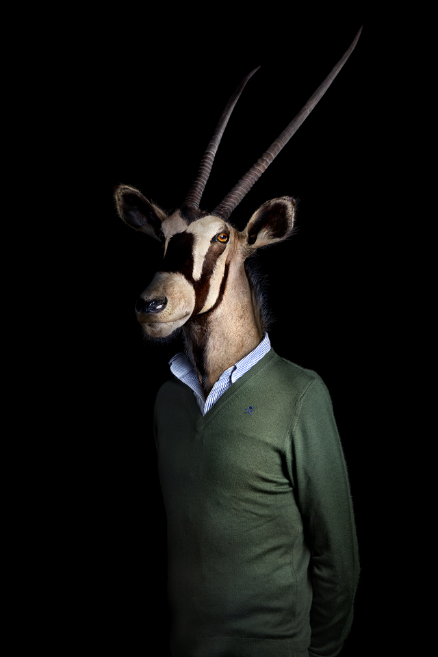 Ilyen lenne, ha az állatok iembernek öltöznének - galéria