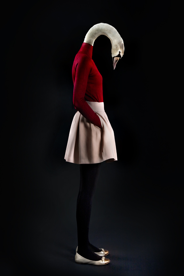 Ilyen lenne, ha az állatok iembernek öltöznének - galéria