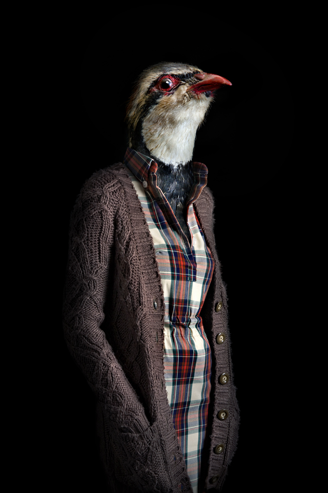 Ilyen lenne, ha az állatok iembernek öltöznének - galéria