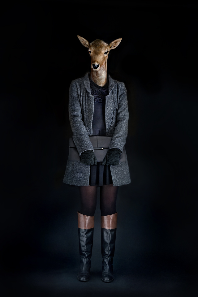 Ilyen lenne, ha az állatok iembernek öltöznének - galéria