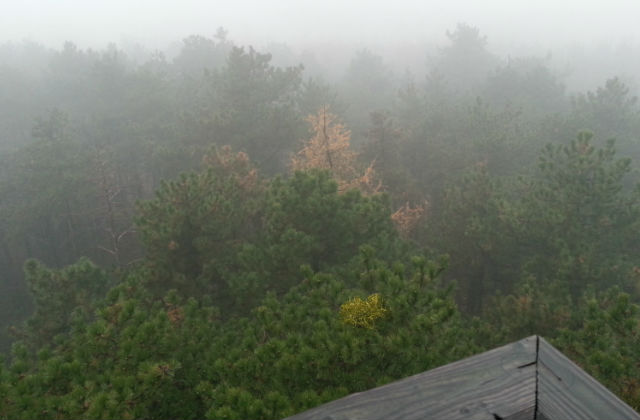 Bakancsos túra őzekkel és csillogó kövekkel 