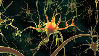 18+: 10 dolog, amit nem tudtál a vagináról 18+: 10 dolog, amit nem tudtál a vagináról