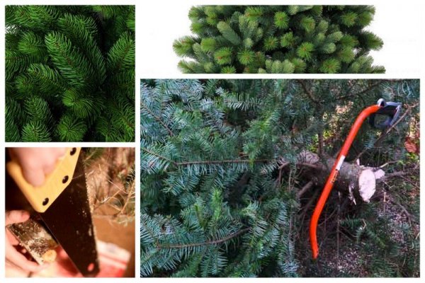 Tuti tipp, hogy a karácsonyfád sokáig tündököljön