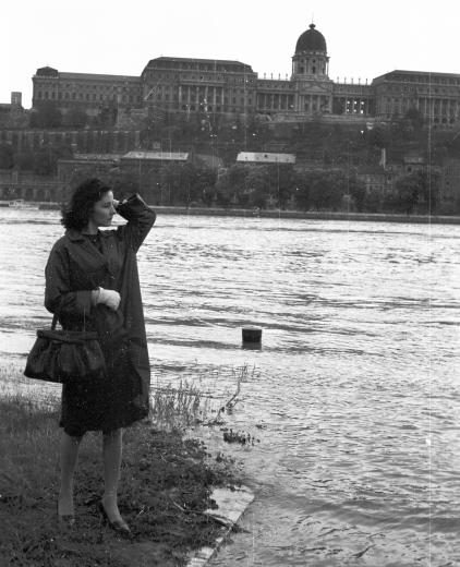 15 magyar utcaidivat-fotó az ötvenes-hatvanas évekből 15 magyar utcaidivat-fotó az ötvenes-hatvanas évekből