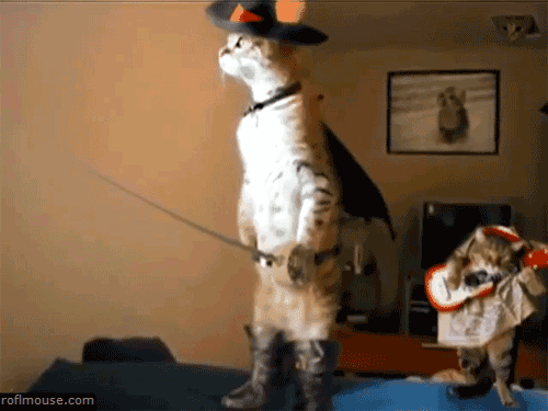 Éjszaka egy magyar múzeumban