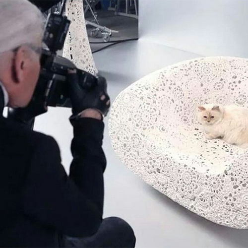Irigylésre méltó éve volt Lagerfeld macskájának