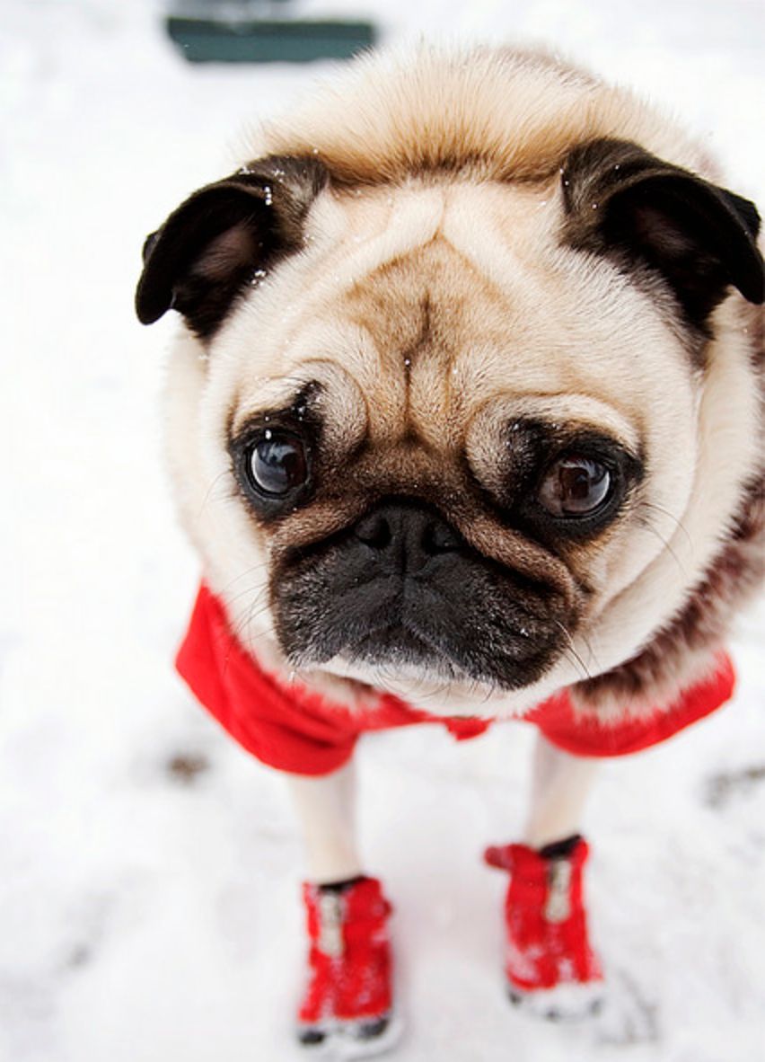 Nem lesz hó szenteste!