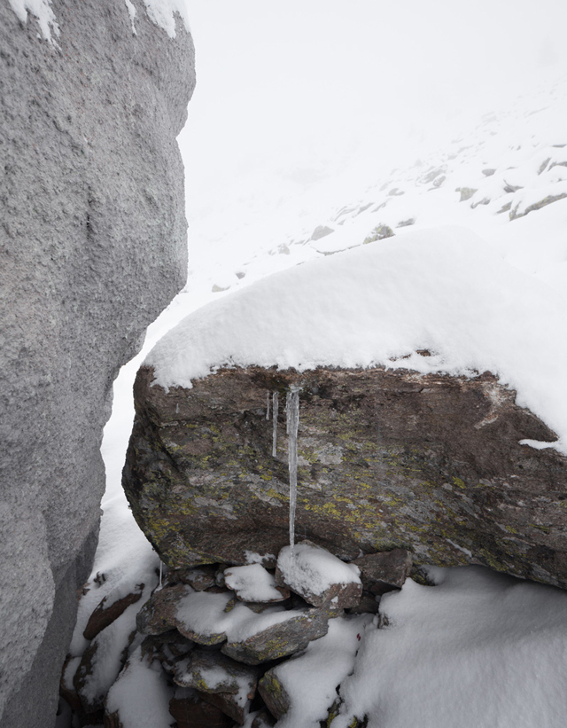 Azt hihetnéd, hogy ez egy szikla, pedig nem az - fotók 