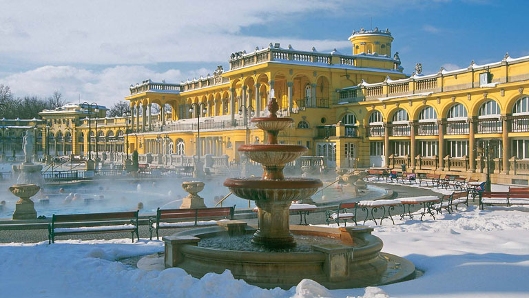 Egészség és vitalitás féláron Egészség és vitalitás féláron