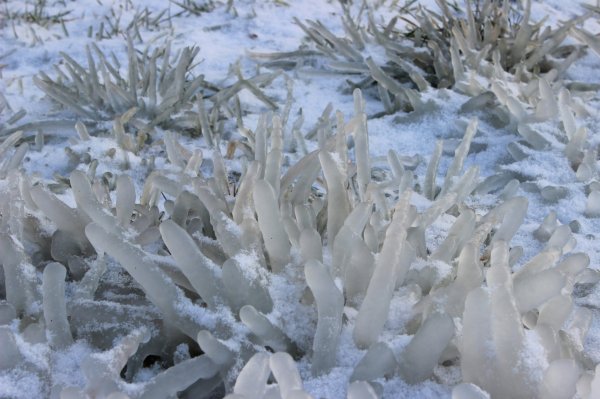 Hihetetlen képek: ez történt a Velencei-tó környékén
