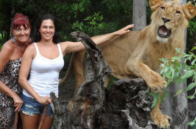 facebook.com/bódisylvi