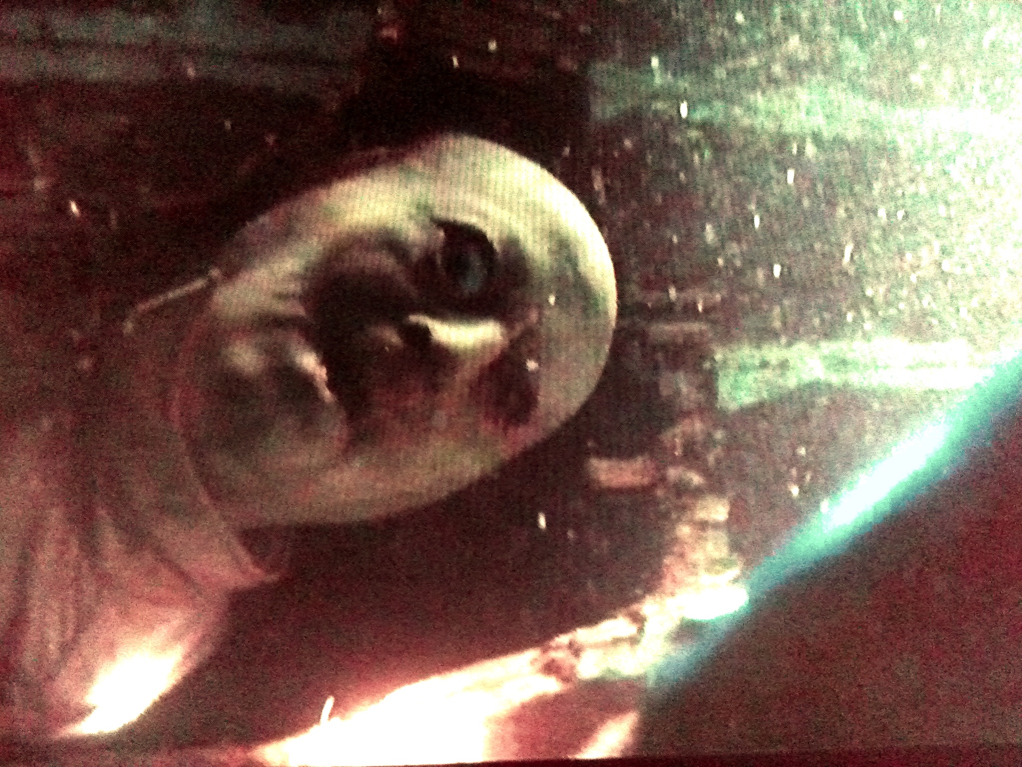 40 éves a film, amitől a szüleink rettegni kezdtek a tengerben úszástól