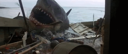 40 éves a film, amitől a szüleink rettegni kezdtek a tengerben úszástól