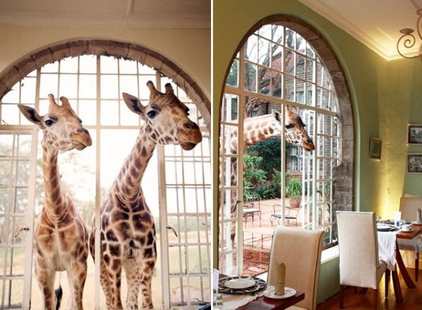 A 10 legfurcsább szállás a világon A 10 legfurcsább szállás a világon