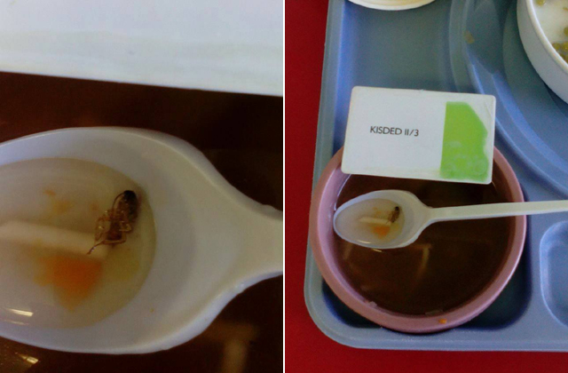 Csótány a levesben: a szülők jelezték a nővérnek