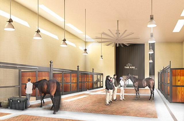 Állatoknak építenek reptéri terminált