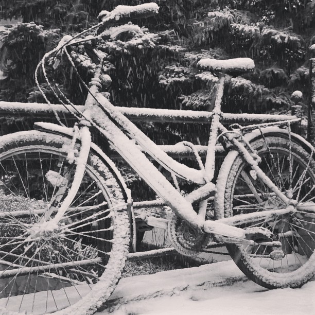 Behavazódott az ország - Fotók!