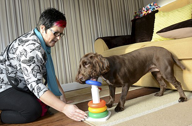Minden nap új trükköt tanul a kutyus Minden nap új trükköt tanul a kutyus