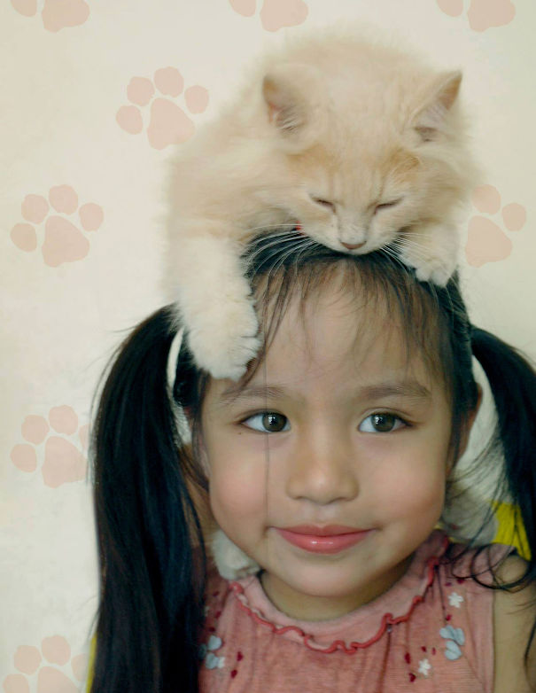 Itt az új mém: a macskalap 