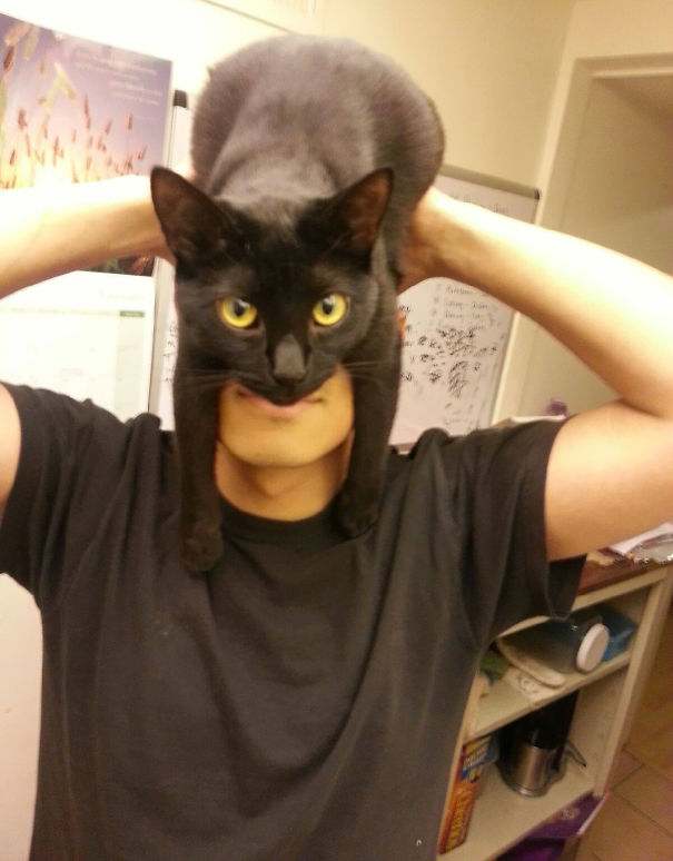 Itt az új mém: a macskalap 