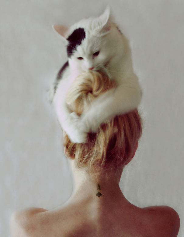 Itt az új mém: a macskalap 