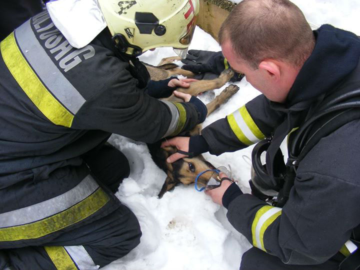 Fotó: Bíró János tűzoltó főtörzsőrmester