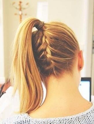 10 tuti tipp lófarokhoz