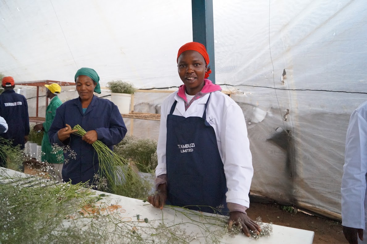 A farm dolgozói méltányos munkabért kapnak, és választott szervezetüket partnernek tekinti a tulajdonos
