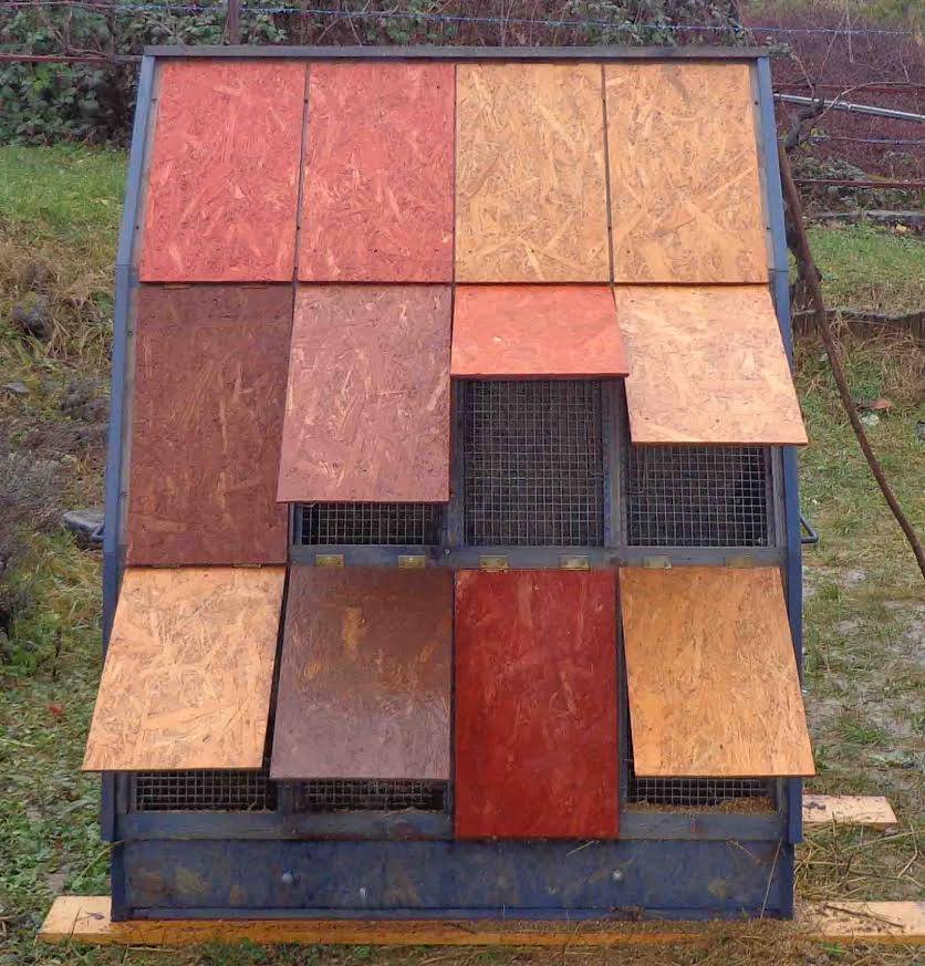 Mostantól erkélyen is tarthatunk tyúkokat