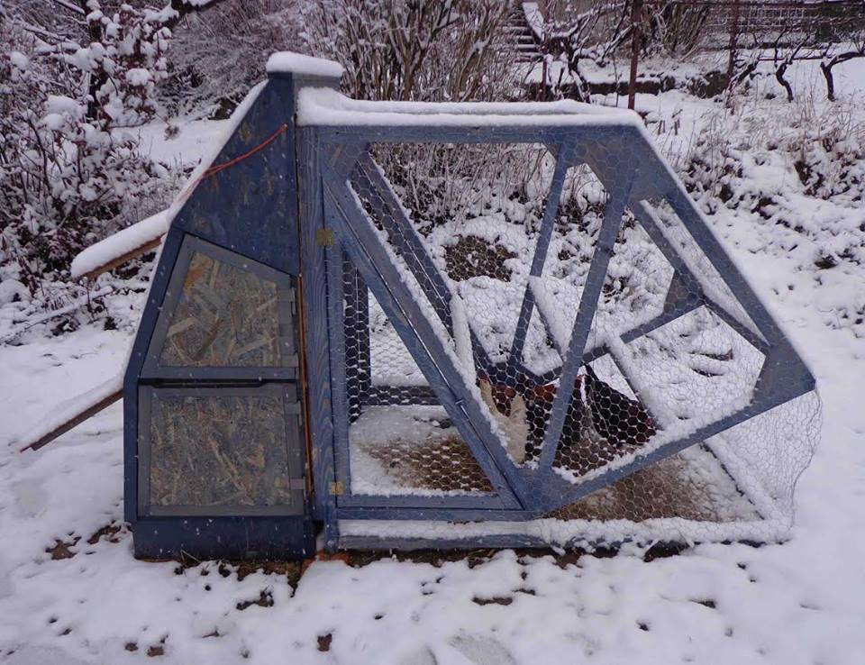 Mostantól erkélyen is tarthatunk tyúkokat