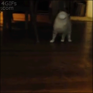 5+1 tipp arra, ha éppen feladni készülsz a fogyókúrát 5+1 tipp arra, ha éppen feladni készülsz a fogyókúrát