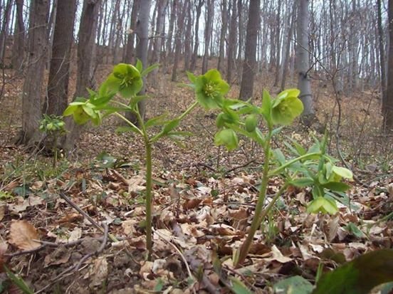 10+1 tavaszi kép, ami szebbé teszi a napodat