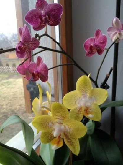 10+1 tavaszi kép, ami szebbé teszi a napodat