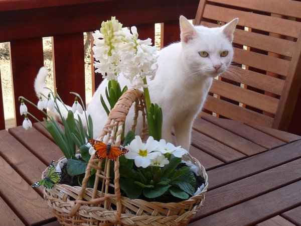 10+1 tavaszi kép, ami szebbé teszi a napodat 10+1 tavaszi kép, ami szebbé teszi a napodat