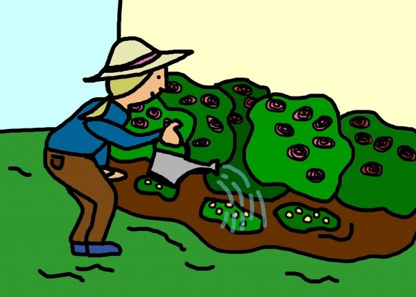 Így tervezd meg a kerted ingyenes programokkal