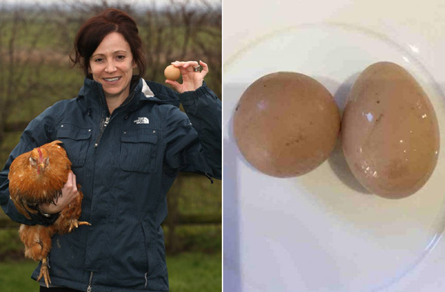 Gömb alakú tojást tojt egy tyúk Gömb alakú tojást tojt egy tyúk