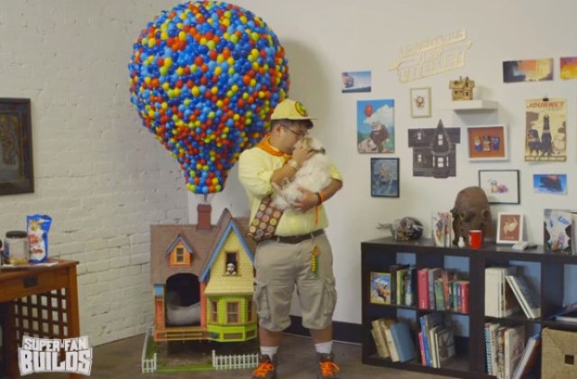 Álomházikót építettek a kiskutyának