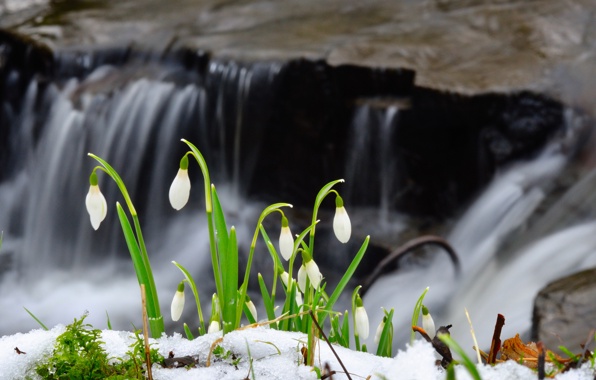 Programok az első márciusi hétvégére Programok az első márciusi hétvégére